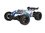 Z-10 Competition Truggy BR 1:10XL brushed RTR | No.3145